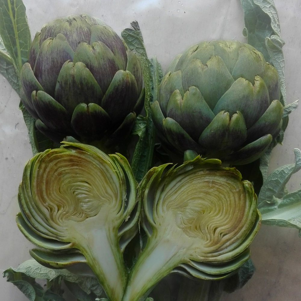 GREEN BELL F1 ARTICHOKE SEEDS