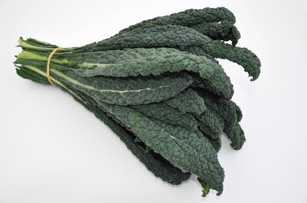 
                      
                        LAPO ex #SM4.53 CAVOLO NERO LACINIATO DI TOSCANA SEEDS | smarties.bio
                      
                    