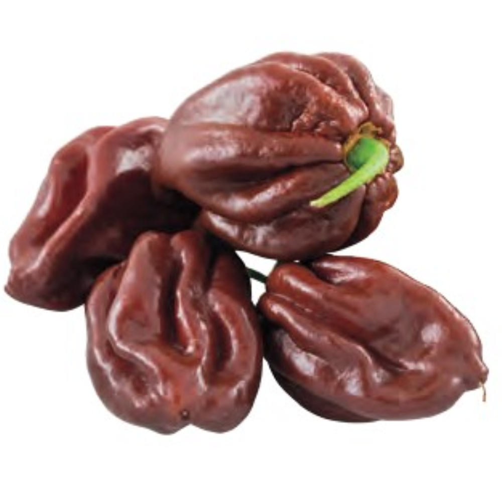 SEMI DI PEPERONCINO HABANERO CHOCOLATE