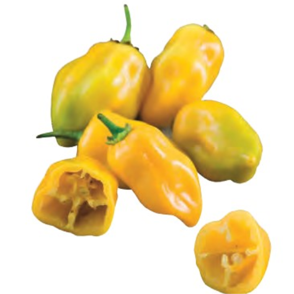 
                      
                        Habanero Yellow seeds | smarties.bio
                      
                    