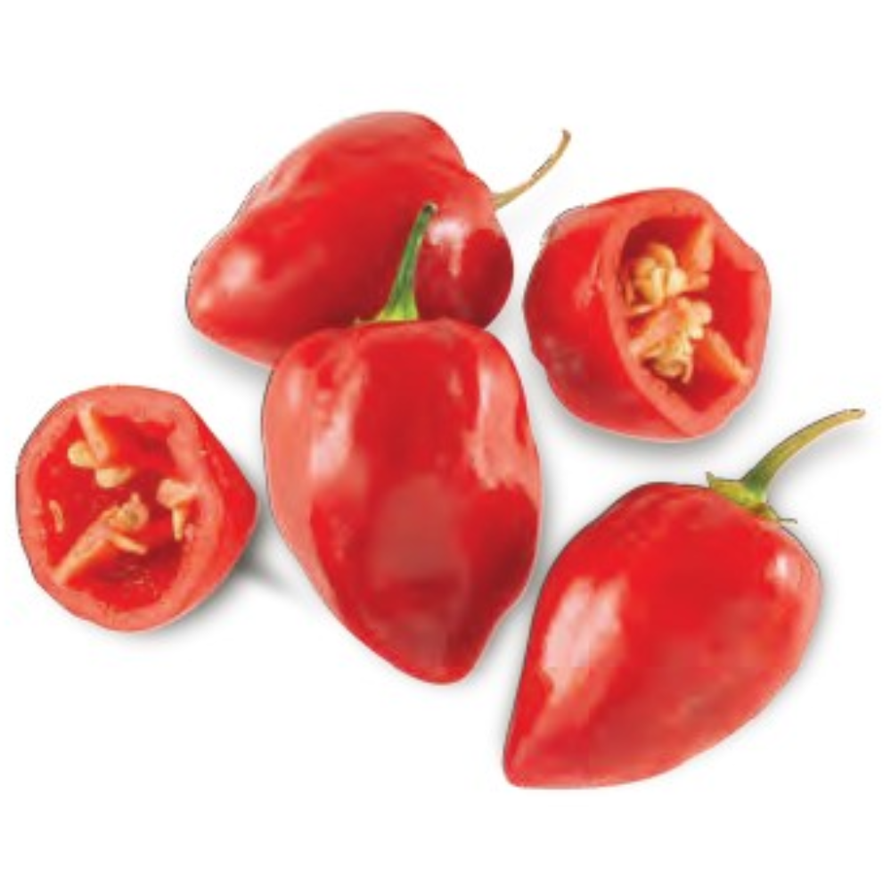 SEMILLAS DE AJÍ HABANERO ROJO