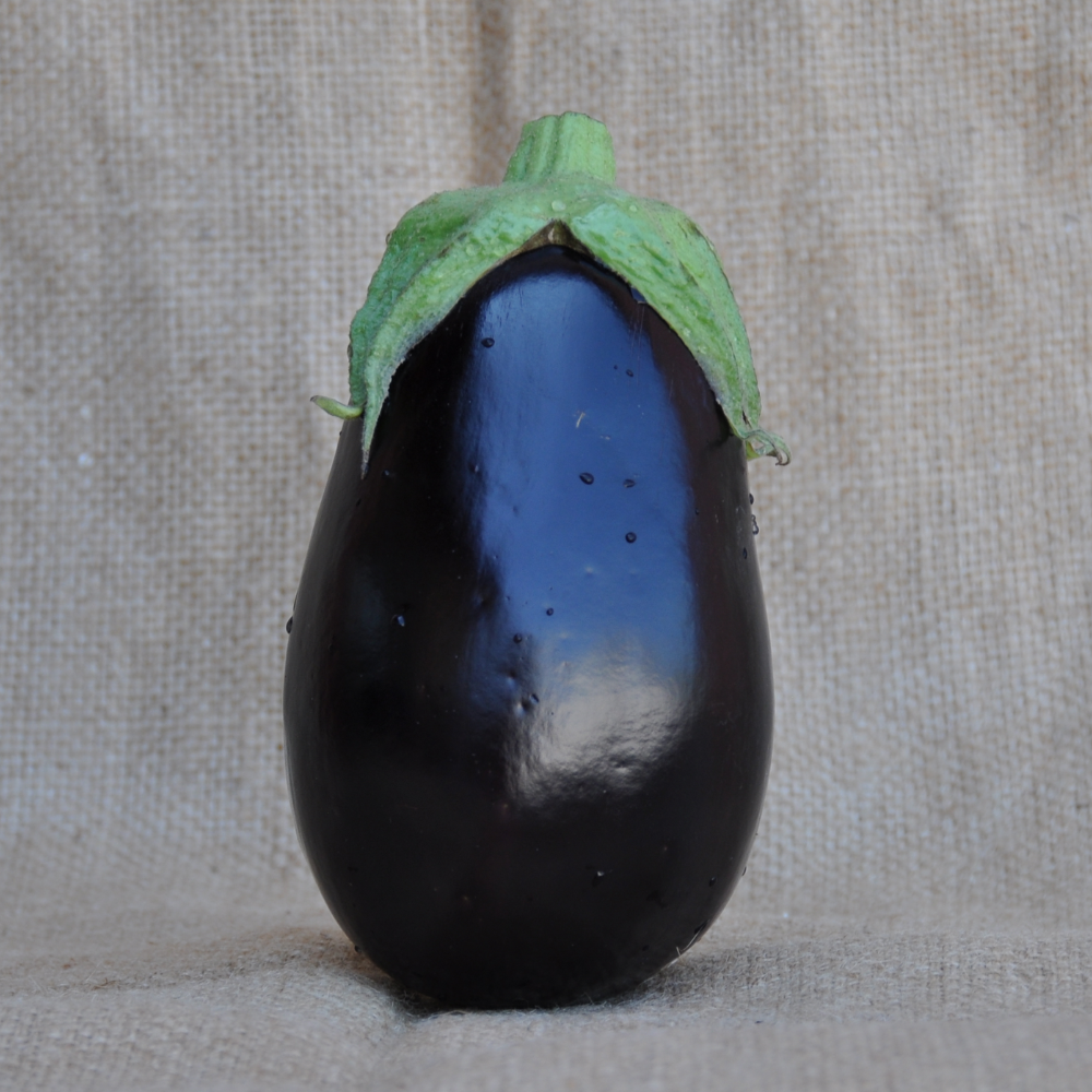 BINDI EGGPLANT SEEDS | Smarties.bio