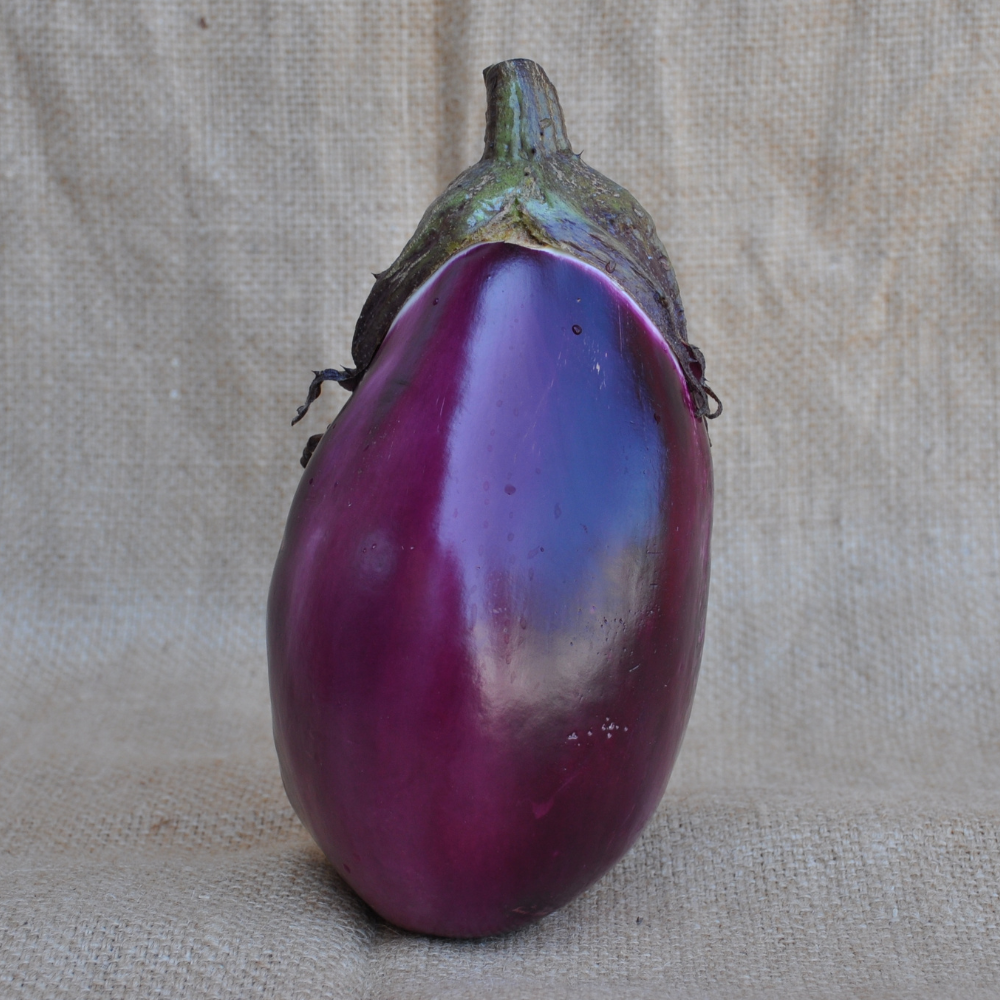 SATIRIA EGGPLANT SEEDS | Smarties.bio