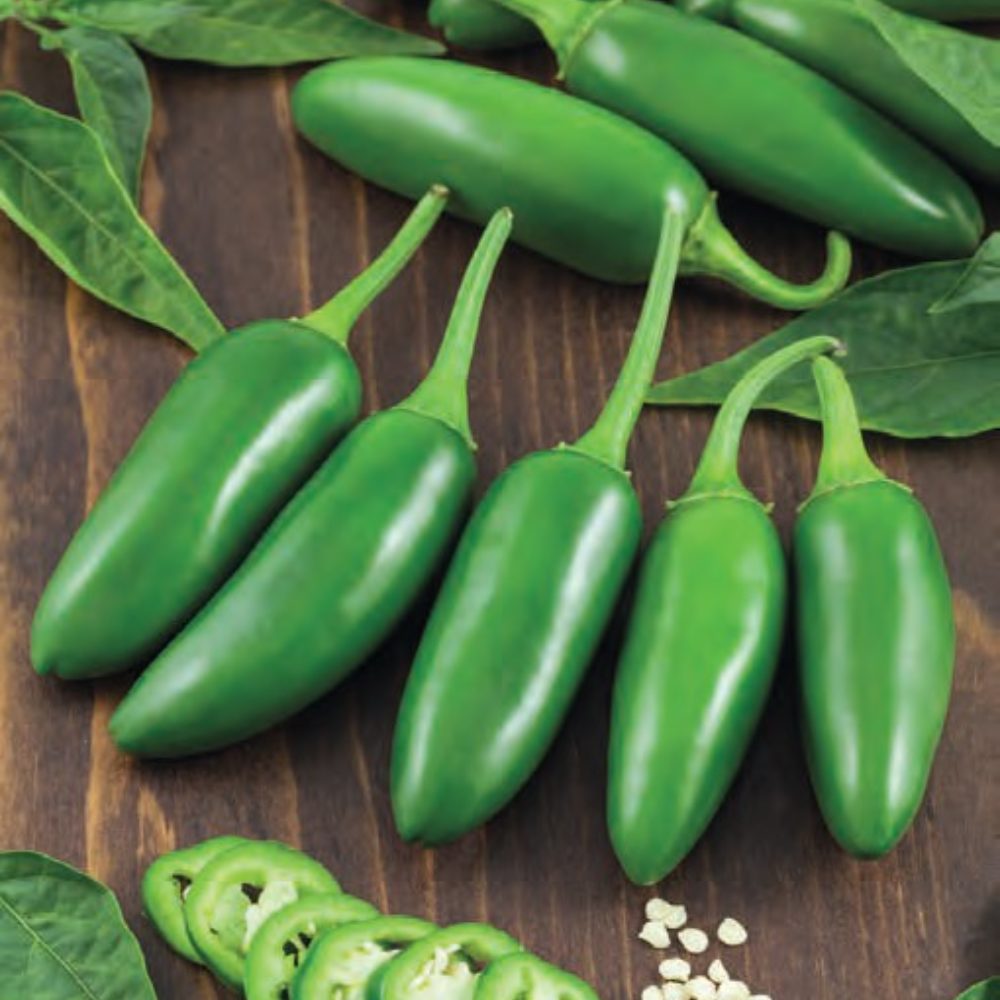 JALAPENO HOT PEPPER SEEDS | Smarties.bio