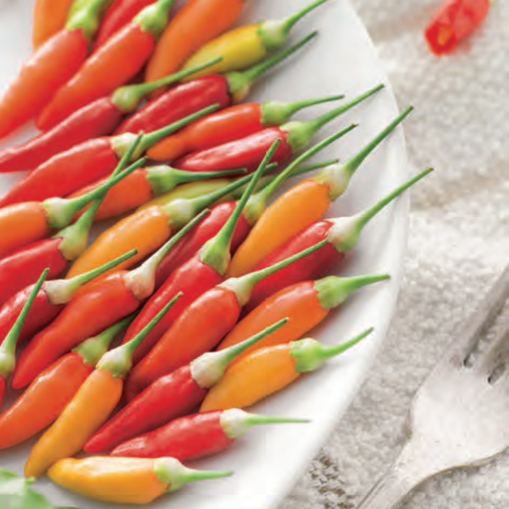 
                      
                        TABASCO HOT PEPPER SEEDS| Smarties.bio
                      
                    