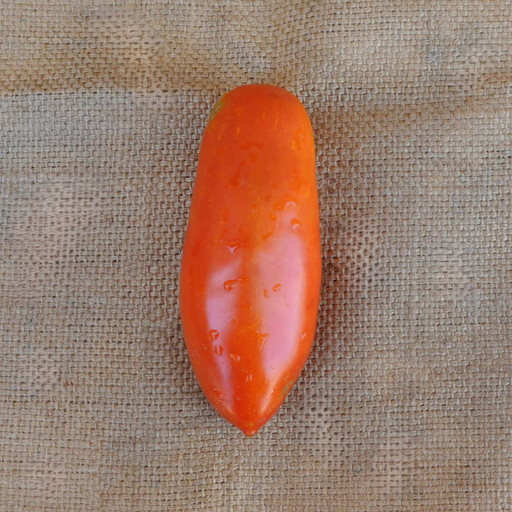 ONORIO F1 INDETERMINATE TOMATO SEEDS SAN MARZANO TYPE | Smarties.bio