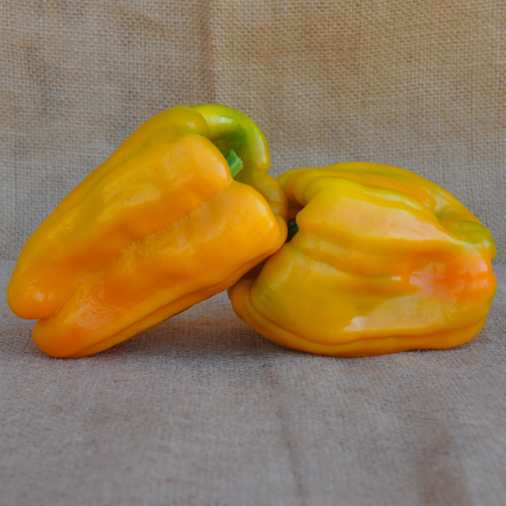 SWEET PEPPER BENNI SEEDS | Smarties.bio