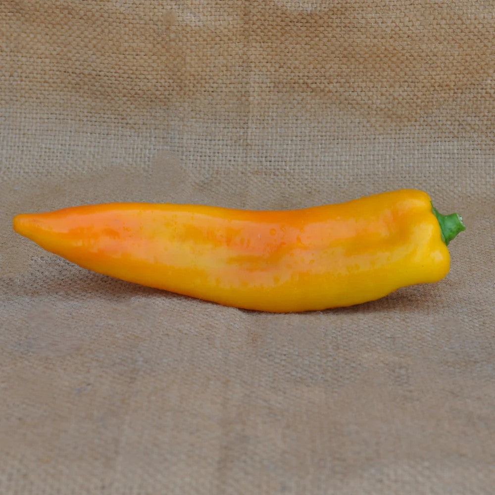 SWEET PEPPER CORNO GIALLO SEEDS | Smarties.bio