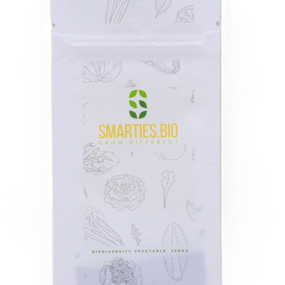 CHIOGGIOTTO GREEN CELERY SEEDS | smarties.bio