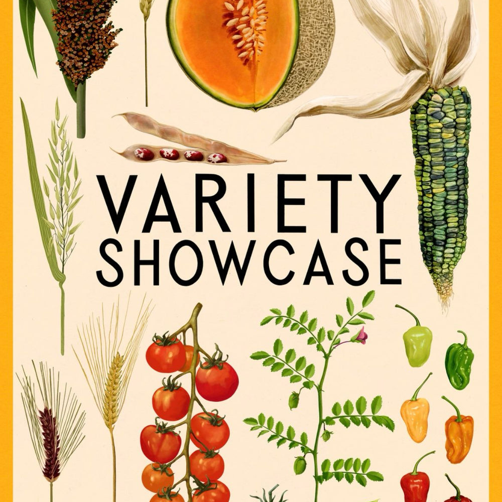 Variety Showcase