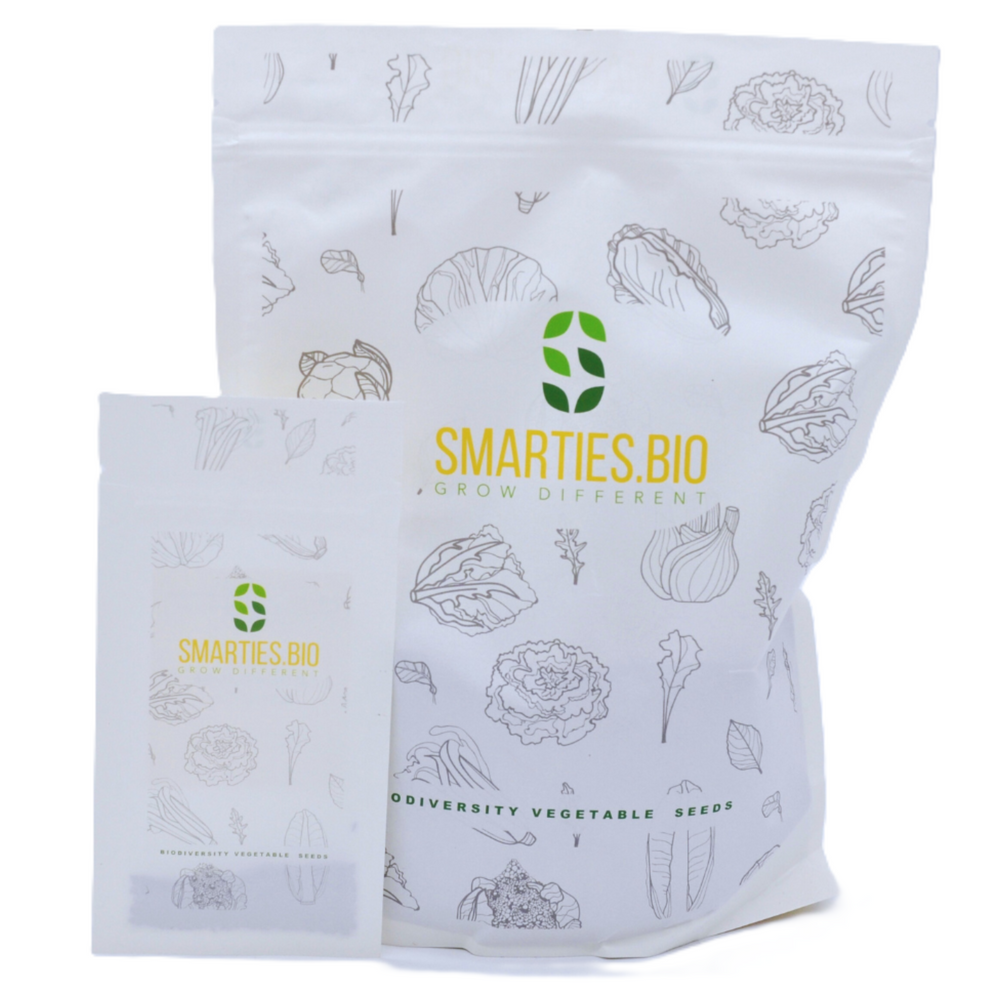 
                      
                        BUTTERNUT SQUASH SEEDS | smarties.bio
                      
                    