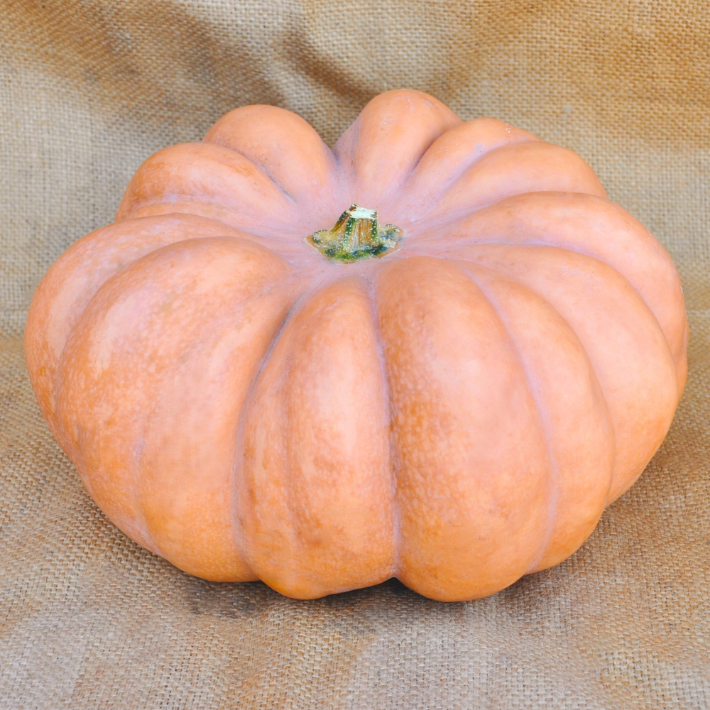 MUSCADE DE PROVENCES SQUASH SEEDS | Smarties.bio